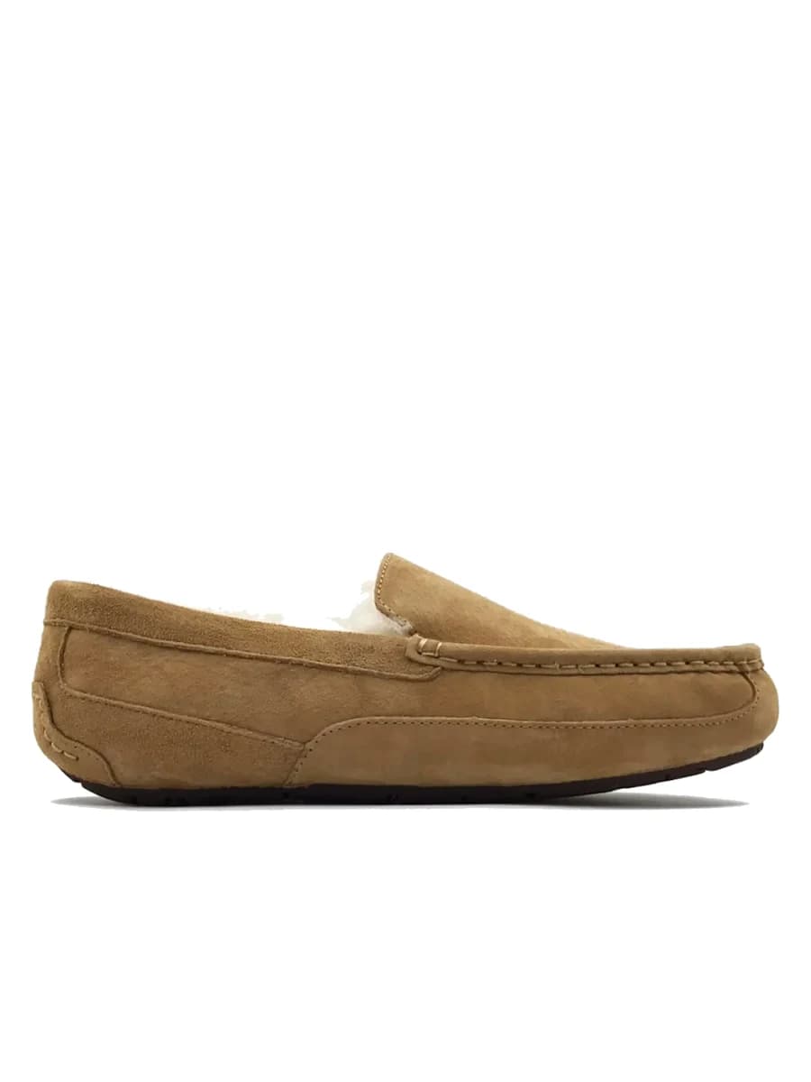 UGG Mens Ascot Chestnut