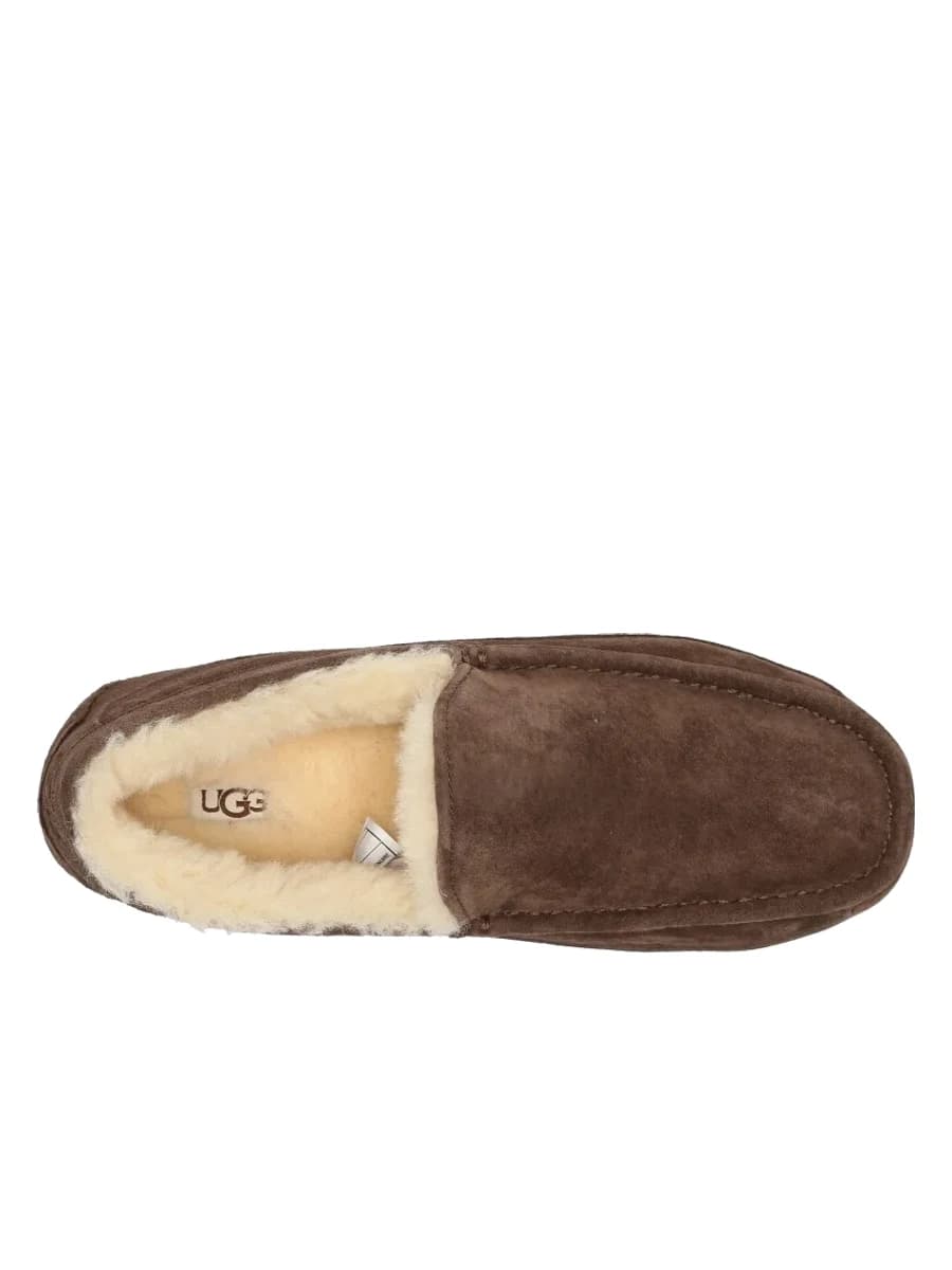 UGG Mens Ascot Chocolate — фото 2
